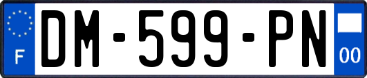 DM-599-PN