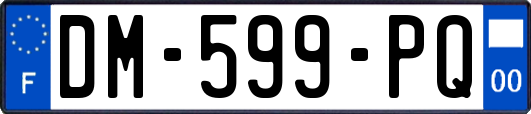 DM-599-PQ