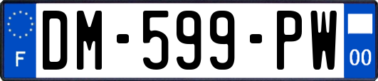 DM-599-PW