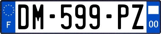 DM-599-PZ