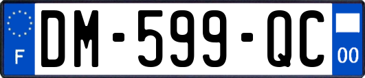DM-599-QC