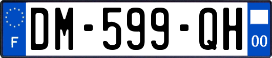 DM-599-QH