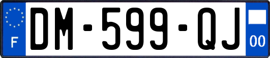 DM-599-QJ