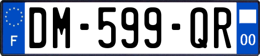 DM-599-QR