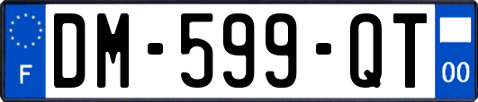 DM-599-QT