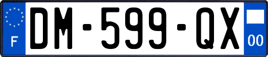 DM-599-QX