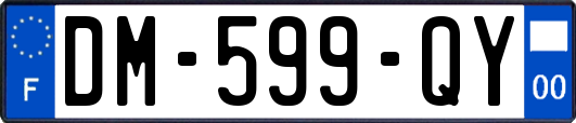 DM-599-QY