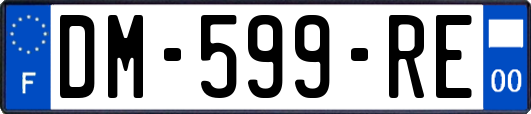 DM-599-RE