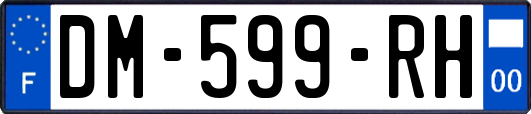 DM-599-RH
