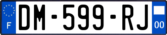 DM-599-RJ