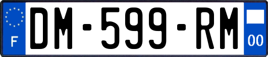 DM-599-RM