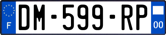DM-599-RP