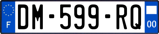 DM-599-RQ