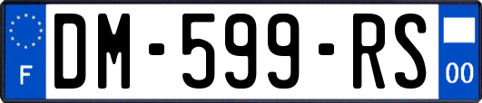 DM-599-RS