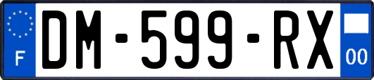 DM-599-RX