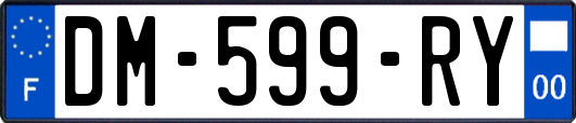 DM-599-RY