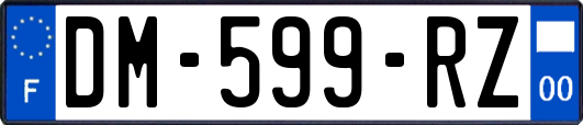 DM-599-RZ