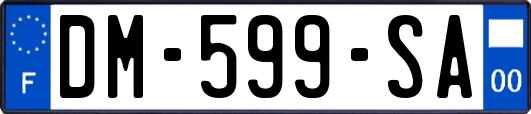 DM-599-SA