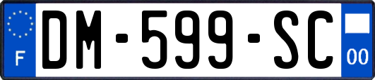 DM-599-SC