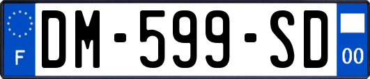 DM-599-SD