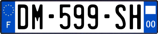 DM-599-SH