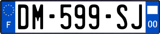 DM-599-SJ