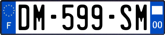 DM-599-SM
