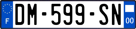 DM-599-SN