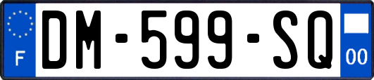 DM-599-SQ