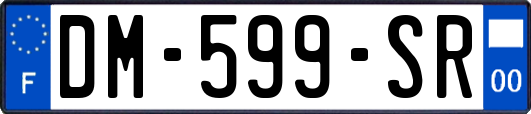 DM-599-SR