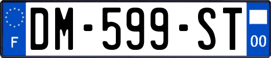 DM-599-ST