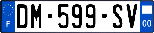 DM-599-SV