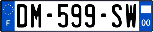 DM-599-SW