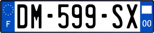 DM-599-SX
