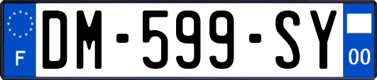 DM-599-SY