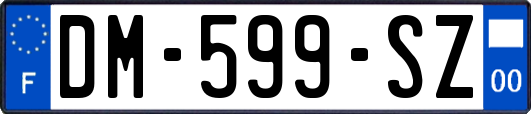 DM-599-SZ