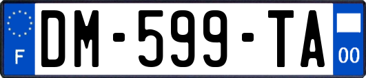 DM-599-TA