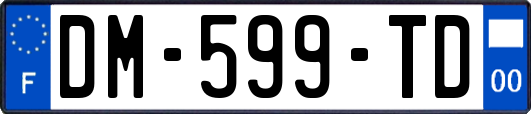 DM-599-TD