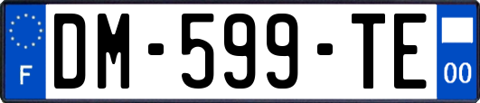 DM-599-TE