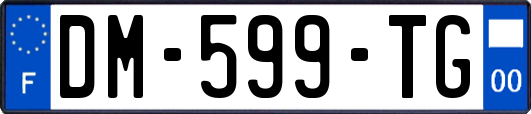DM-599-TG