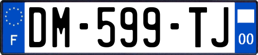 DM-599-TJ