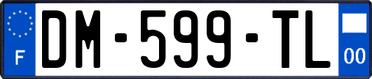 DM-599-TL