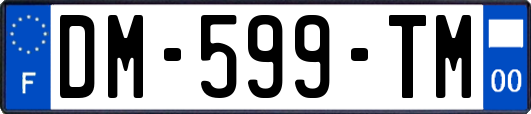 DM-599-TM