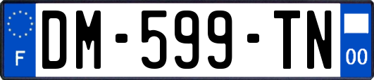 DM-599-TN