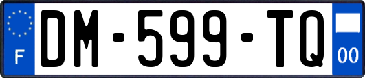 DM-599-TQ