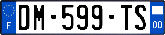 DM-599-TS
