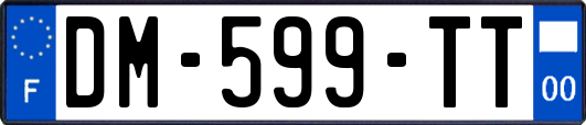 DM-599-TT