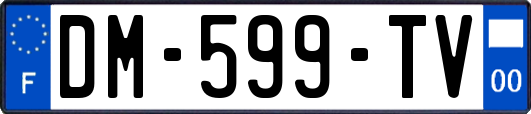 DM-599-TV