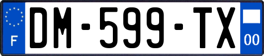 DM-599-TX