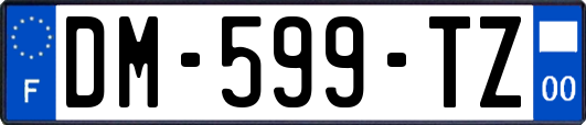 DM-599-TZ